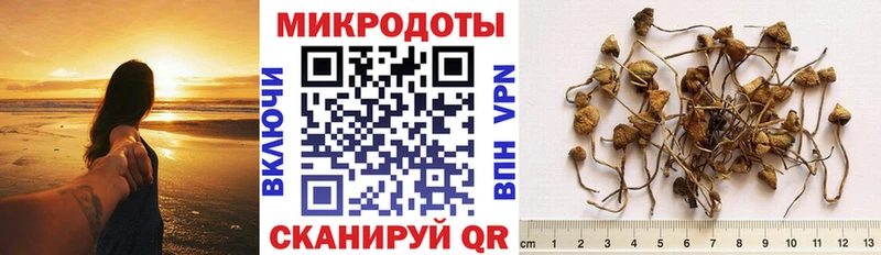 Псилоцибиновые грибы прущие грибы  Инза 